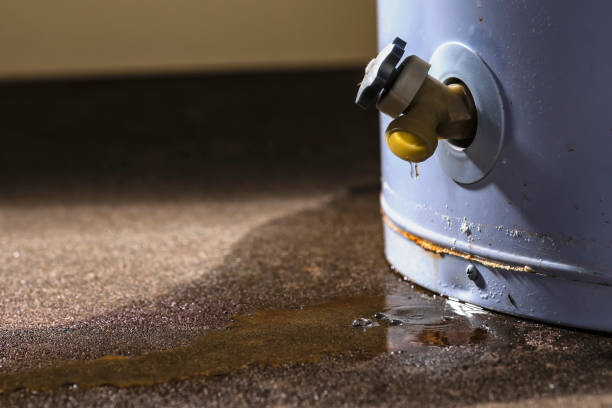 Best Commercial water damage restoration  in Roland, IA