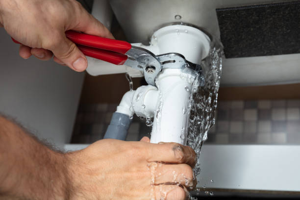Best Basement water damage restoration  in Roland, IA