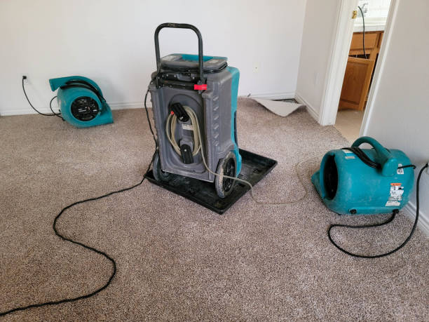 Best Water damage restoration experts  in Roland, IA