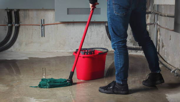 Best Flooded house restoration  in Roland, IA