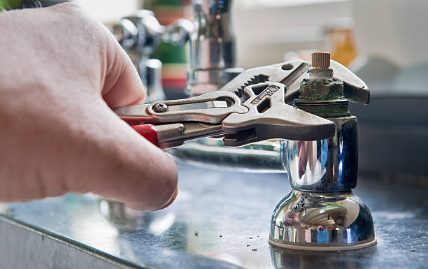 Best Water damage cleanup near me  in Roland, IA