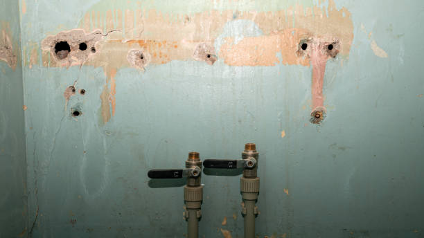 Best Flood restoration services  in Roland, IA