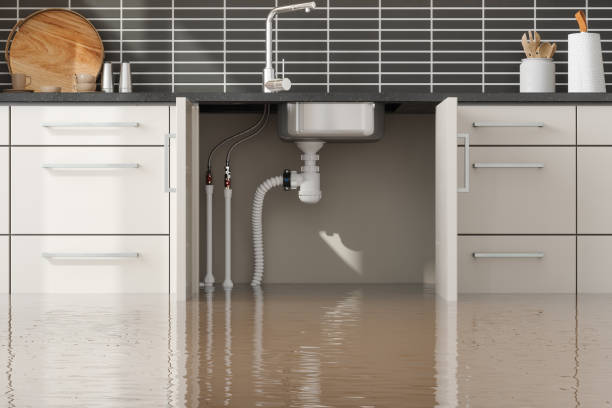 Best Water damage cleanup near me  in Roland, IA