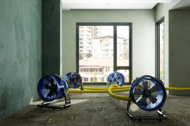 Best Water damage restoration near me  in Roland, IA